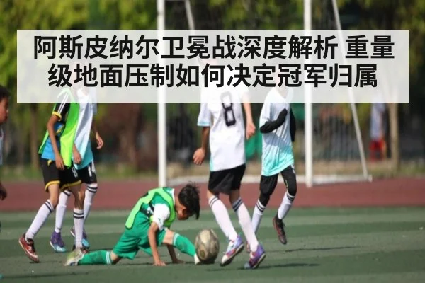 阿斯皮纳尔卫冕战深度解析 重量级地面压制如何决定冠军归属